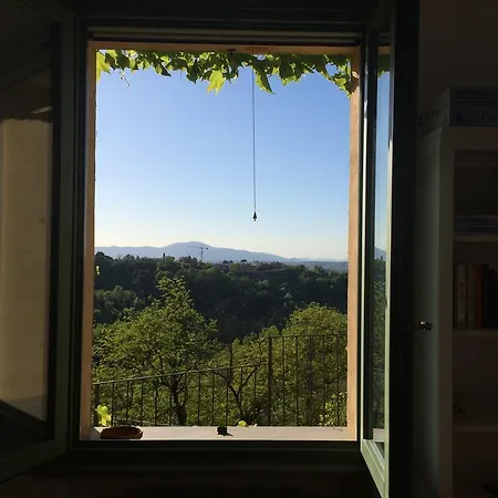 Il Vecchio Frantoio